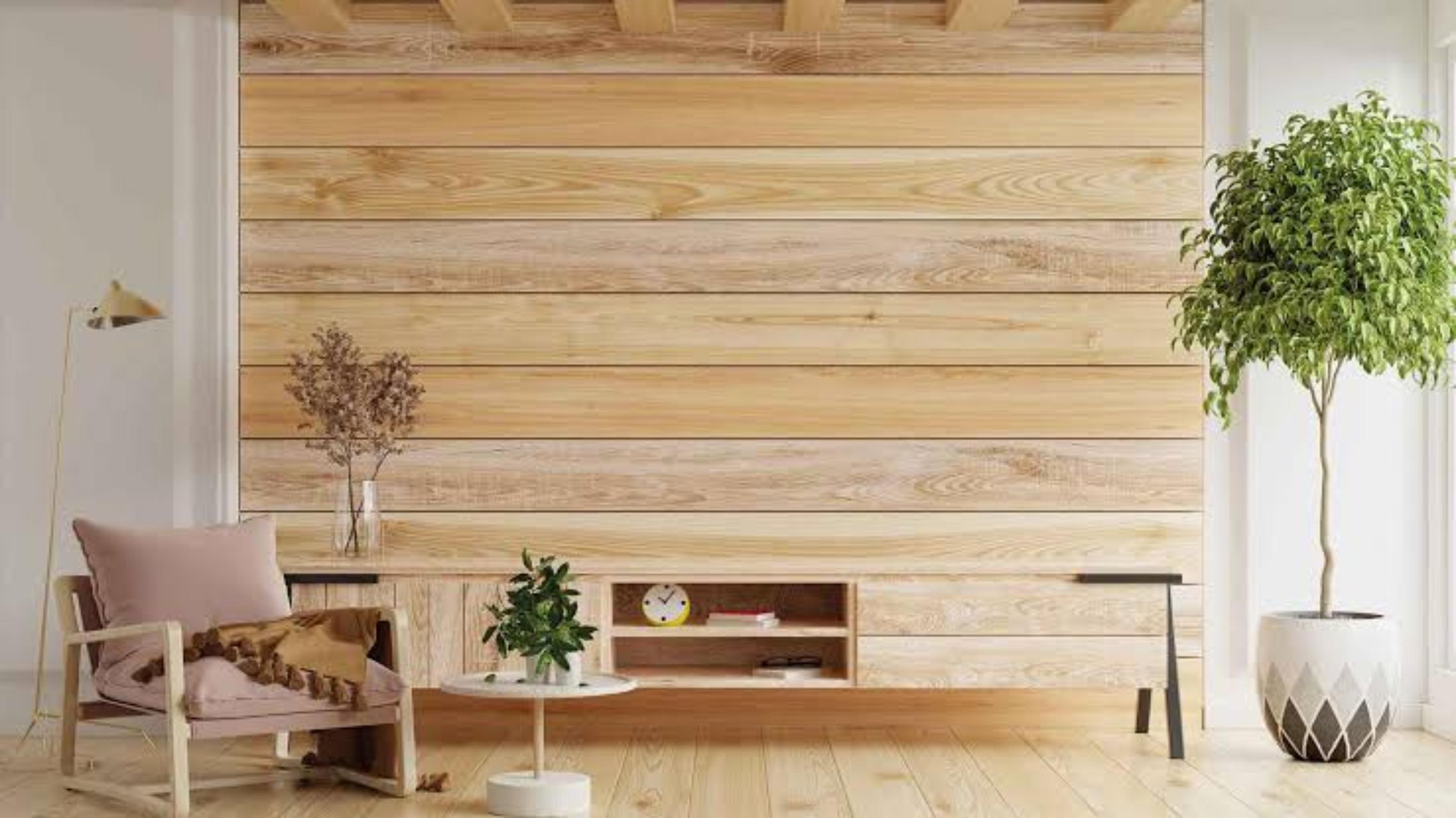 Sala de estar con revestimiento mural de tablas de madera clara y mueble bajo a juego.